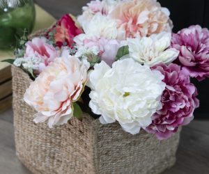 031-AGUACATE-Y-LIMON-FELGUERA-FOTOGRAFO