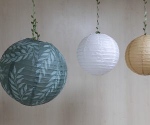 033-AGUACATE-Y-LIMON-FELGUERA-FOTOGRAFO