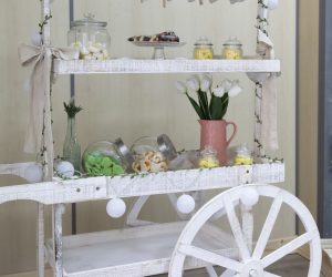 036-AGUACATE-Y-LIMON-FELGUERA-FOTOGRAFO